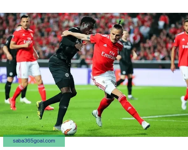 世界杯竞猜赛事直播全面开启 热门赛事实时分析与精彩预测全程跟踪